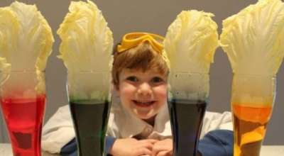 CLB Sáng tạo IGEM LEARNING 7 thí nghiệm khoa học thú vị